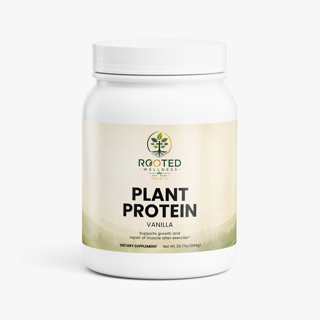 Plant Protein (Vanilla)