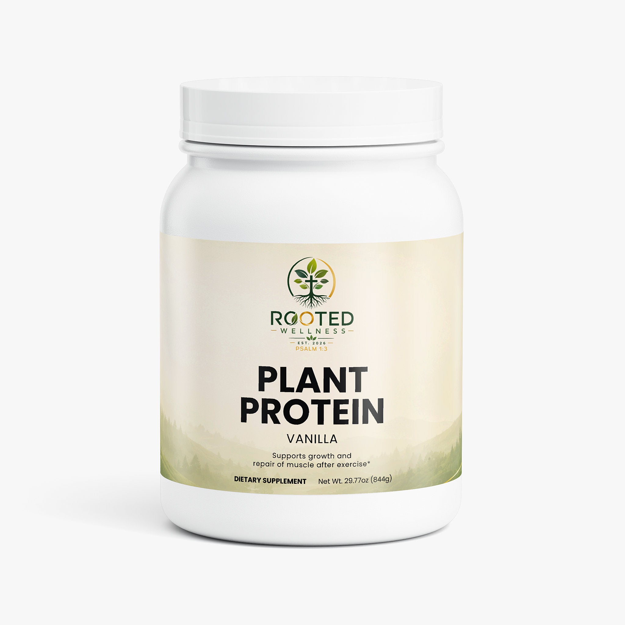Plant Protein (Vanilla)