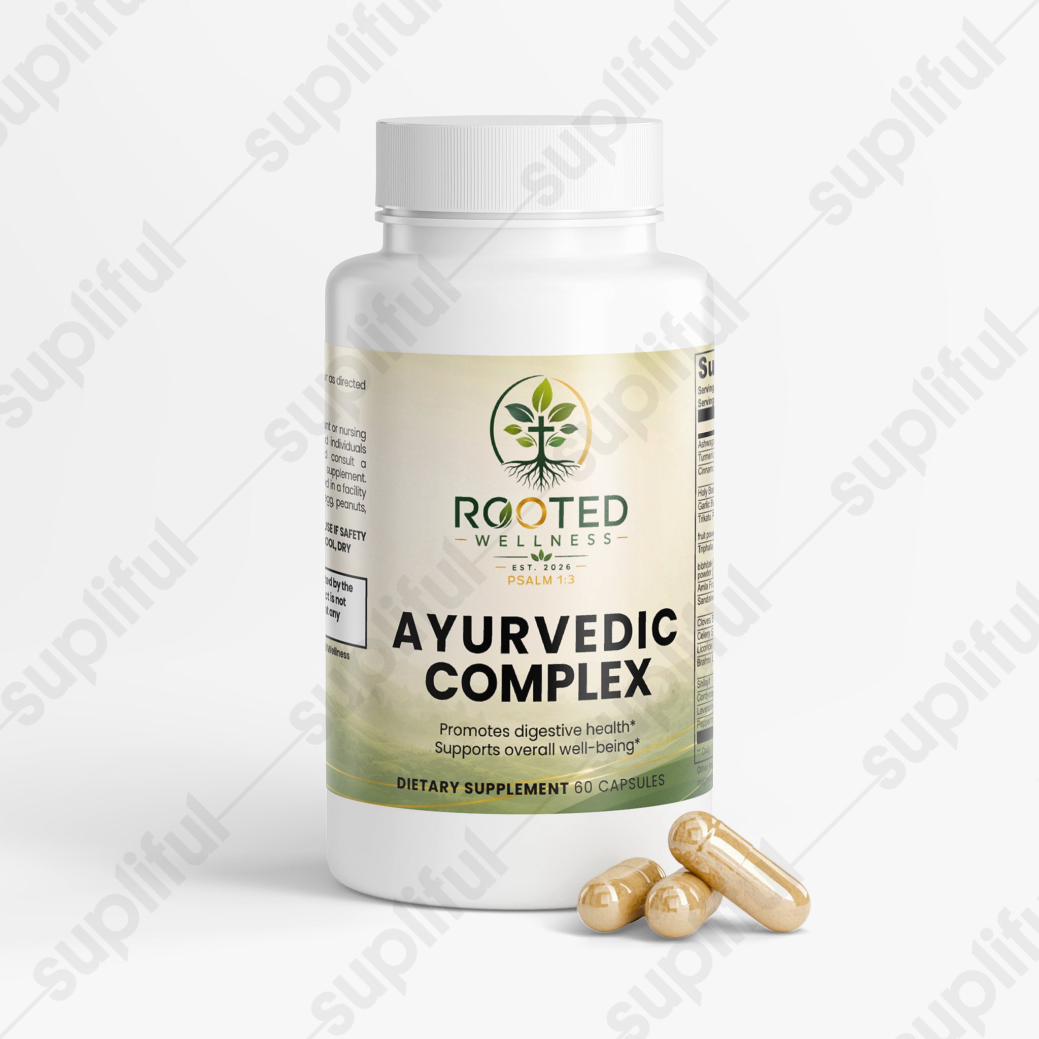 Ayurvedic Complex