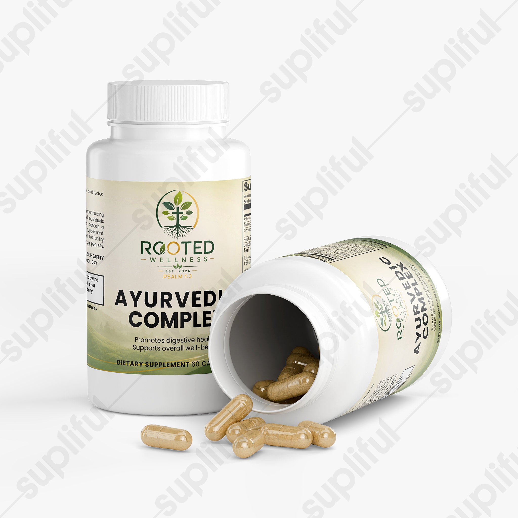 Ayurvedic Complex