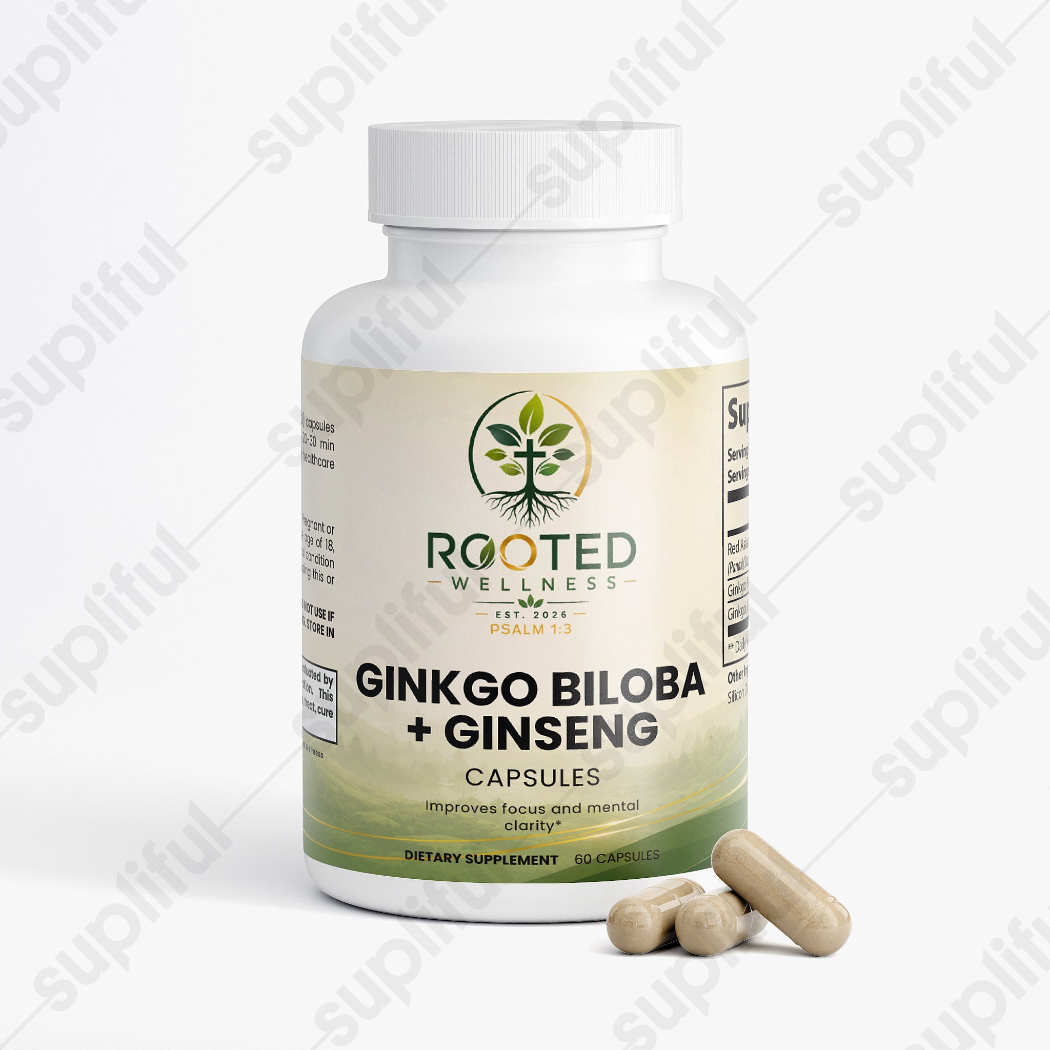 Ginkgo Biloba + Ginseng