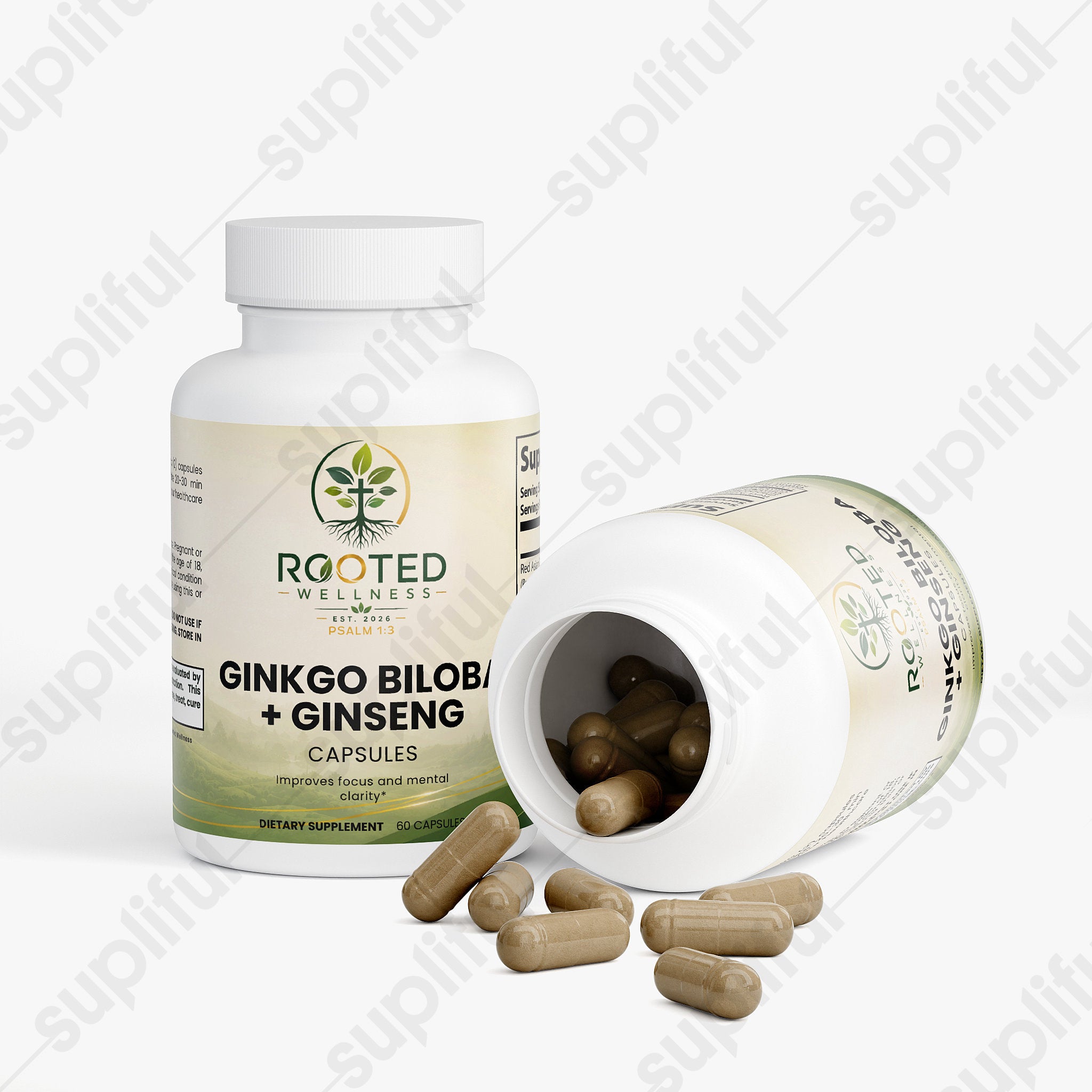 Ginkgo Biloba + Ginseng