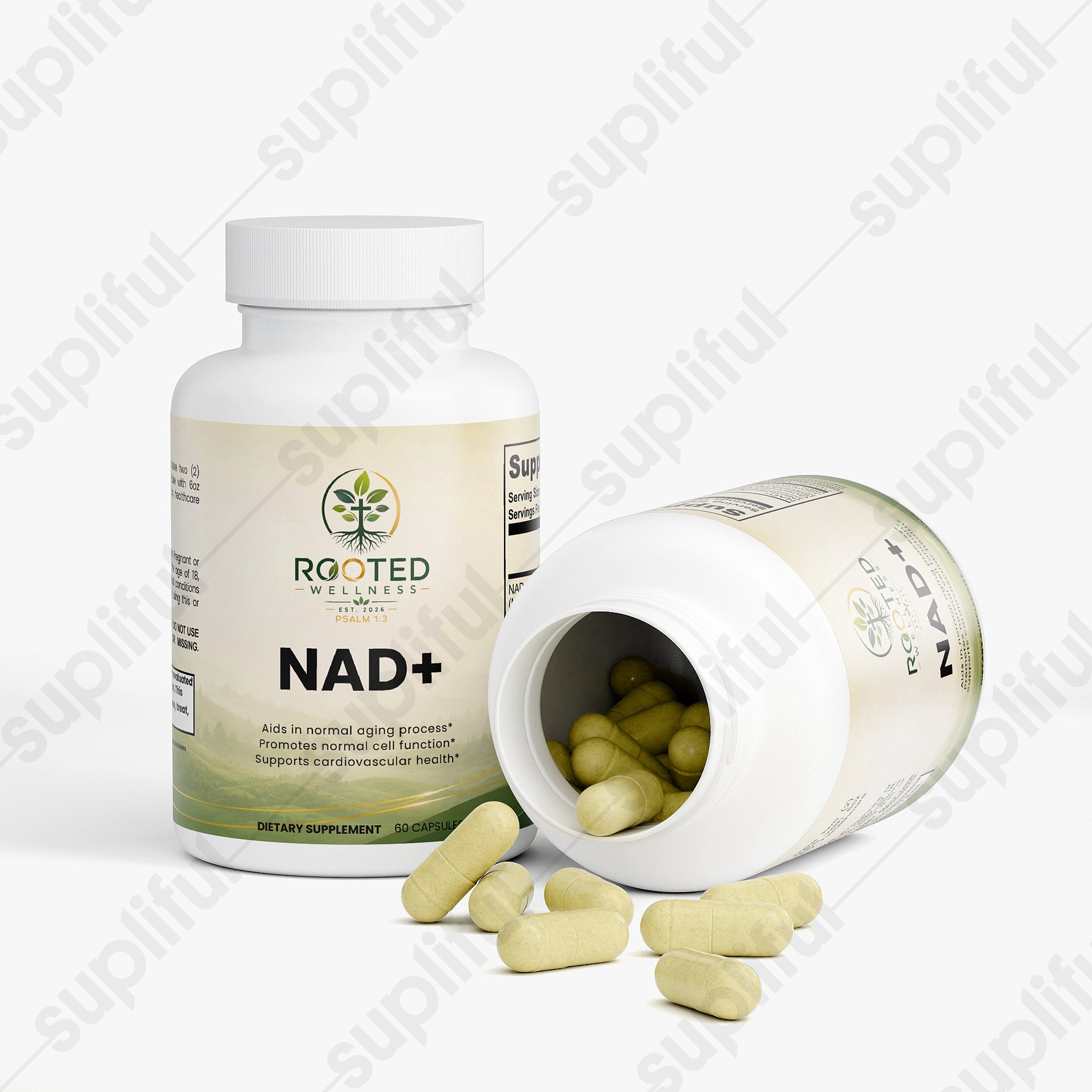 NAD+