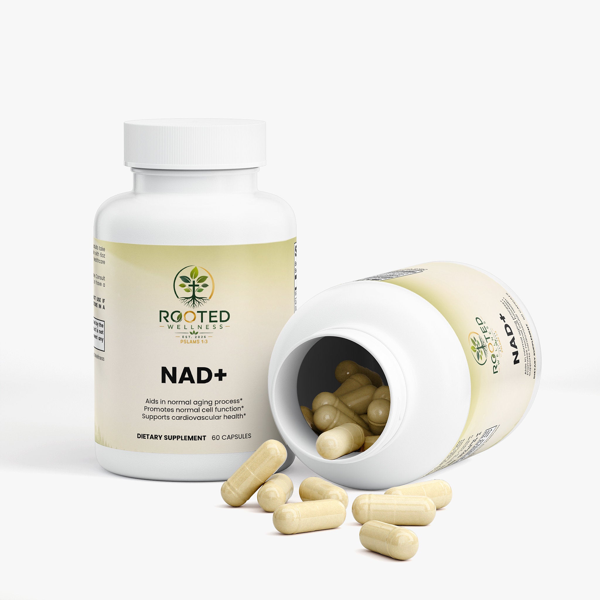 NAD+ capsules — NAD+ supplement capsules for anti-aging and cellular energy, back label with supplement facts and ingredients