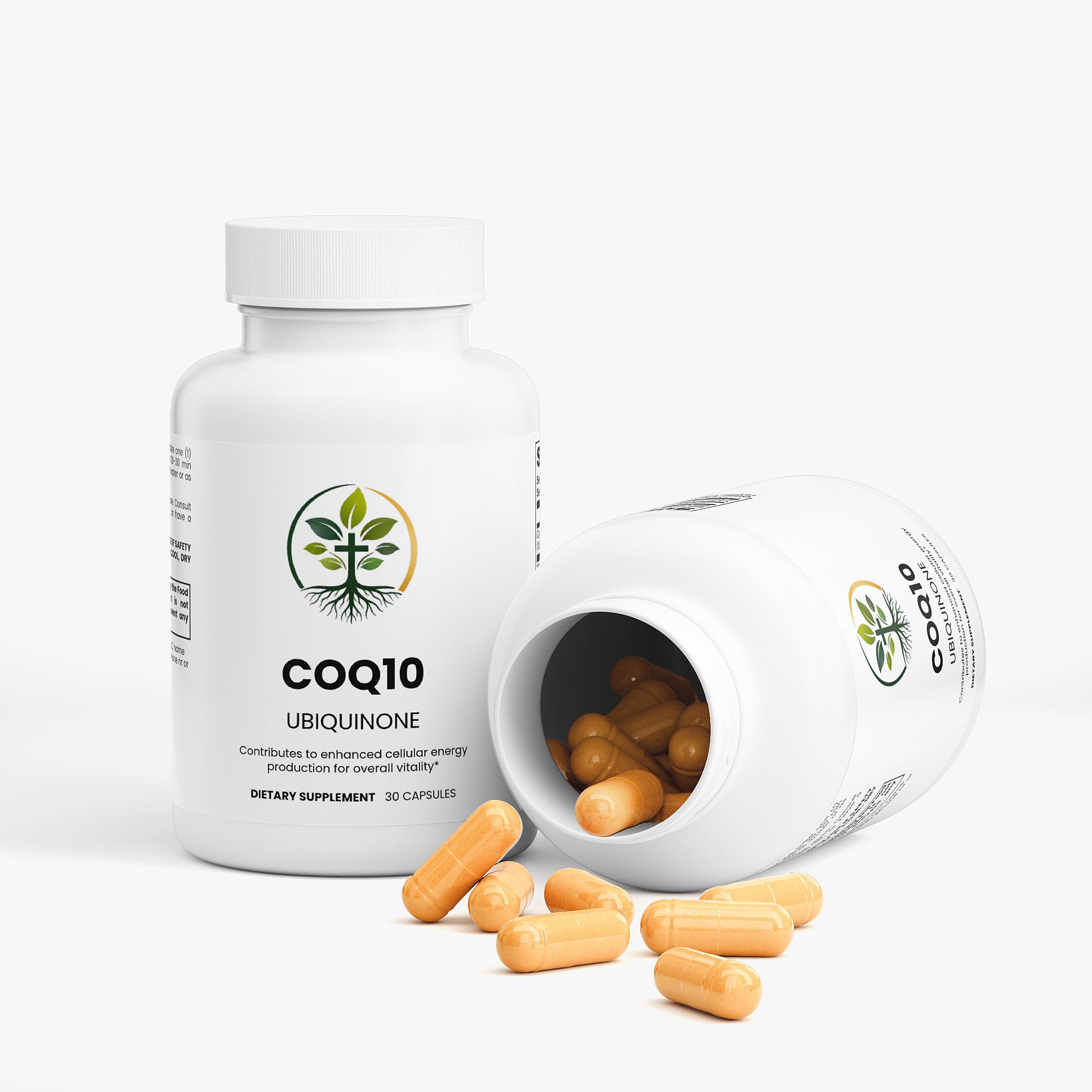 CoQ10 Ubiquinone