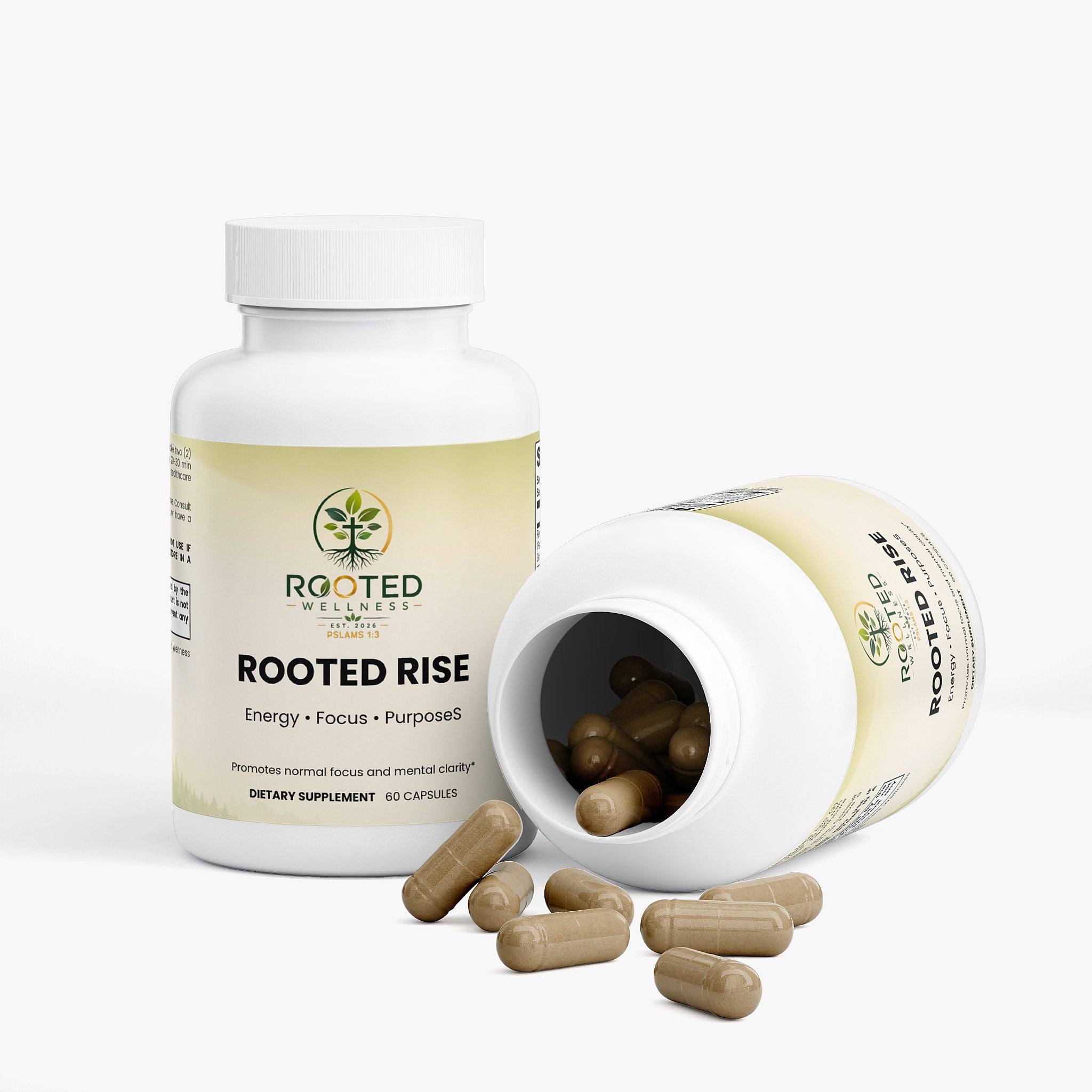 Ginkgo Biloba plus Ginseng capsules — ginkgo biloba and ginseng capsules for memory focus and circulation, bottle angle view