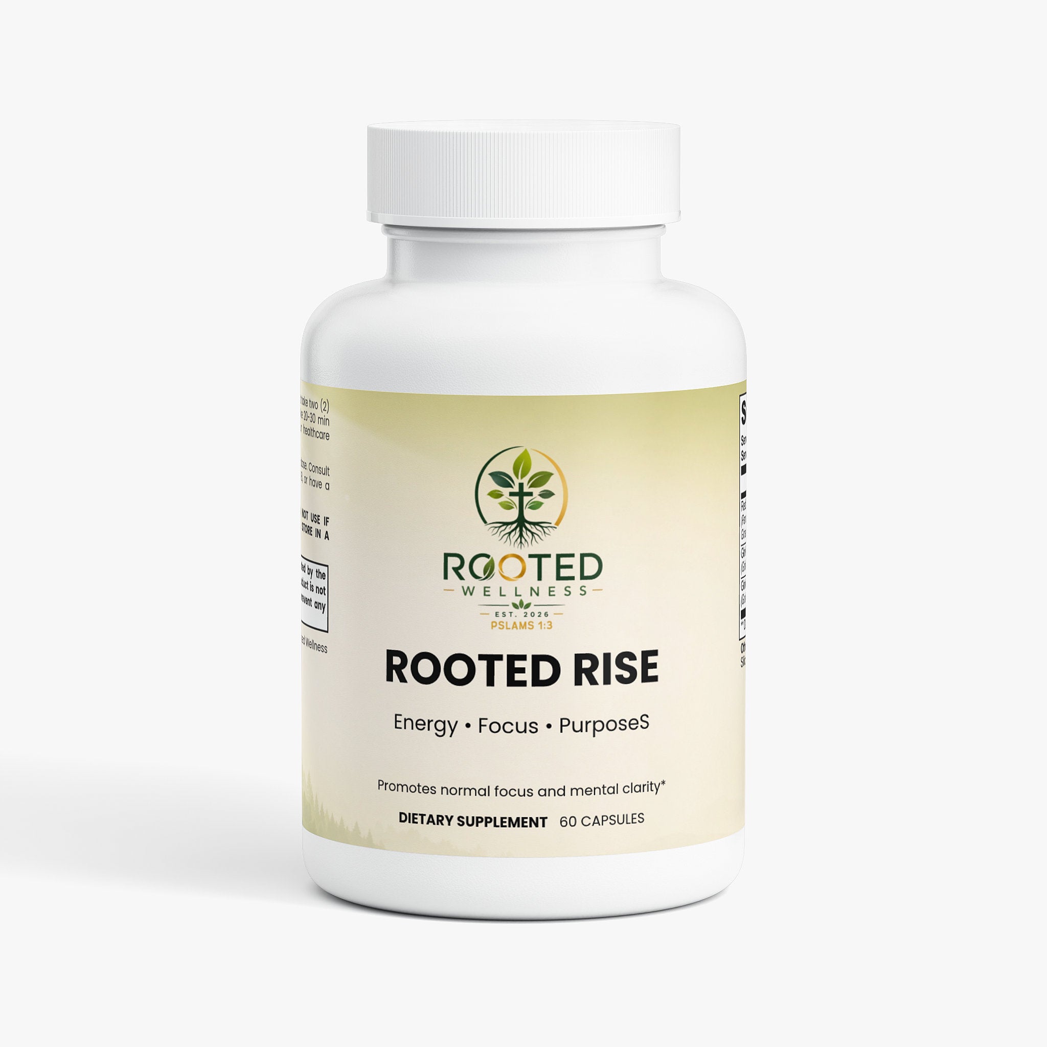 Ginkgo Biloba plus Ginseng capsules — ginkgo biloba and ginseng capsules for memory focus and circulation, front of bottle label