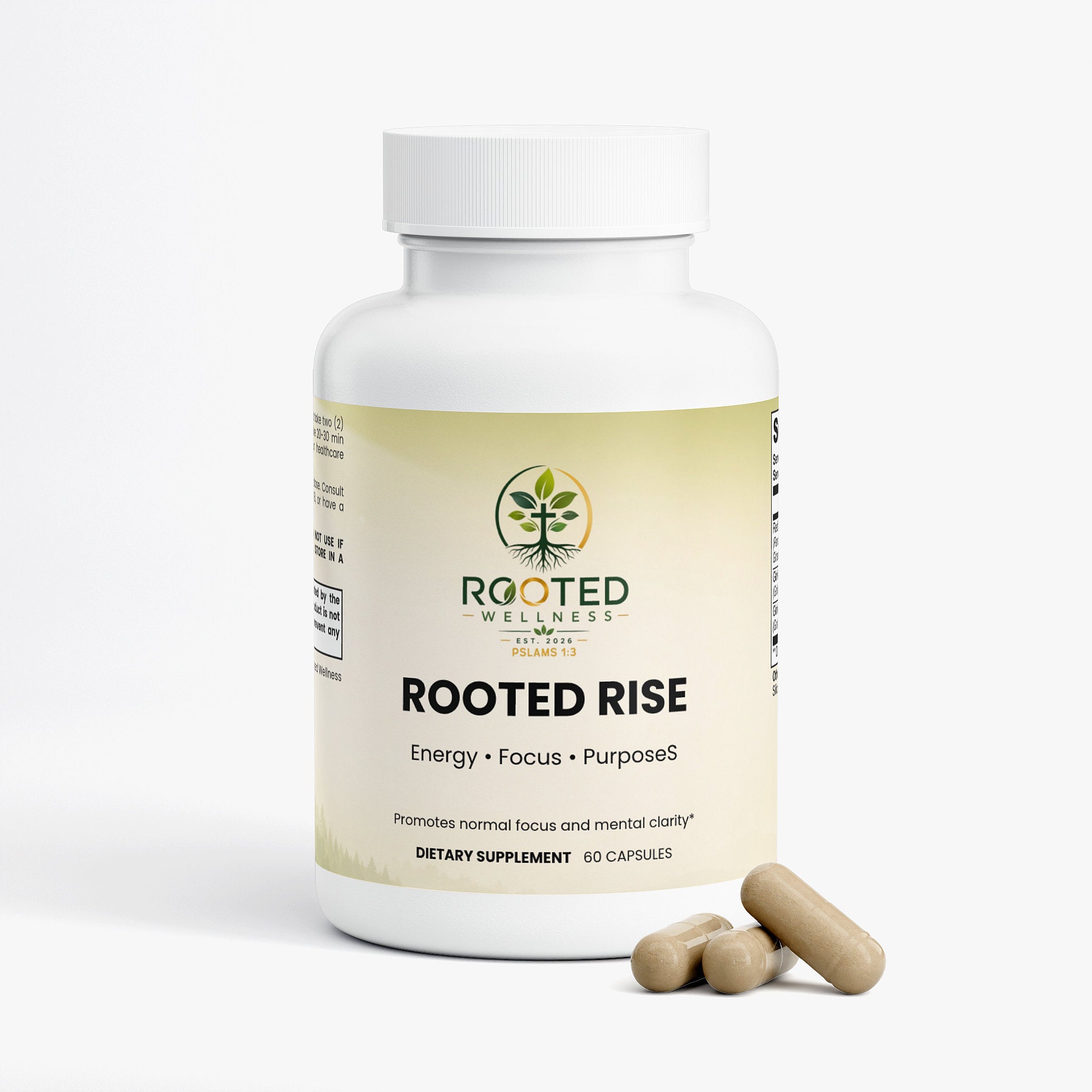 Ginkgo Biloba plus Ginseng capsules — ginkgo biloba and ginseng capsules for memory focus and circulation, back label with supplement facts and ingredients