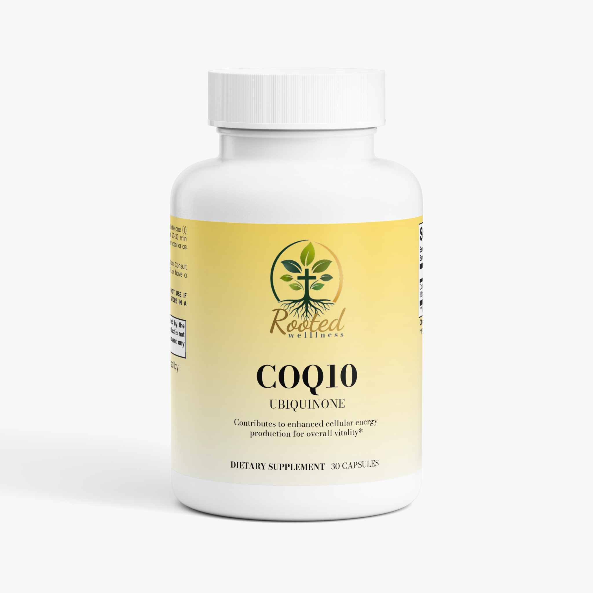CoQ10 Ubiquinone