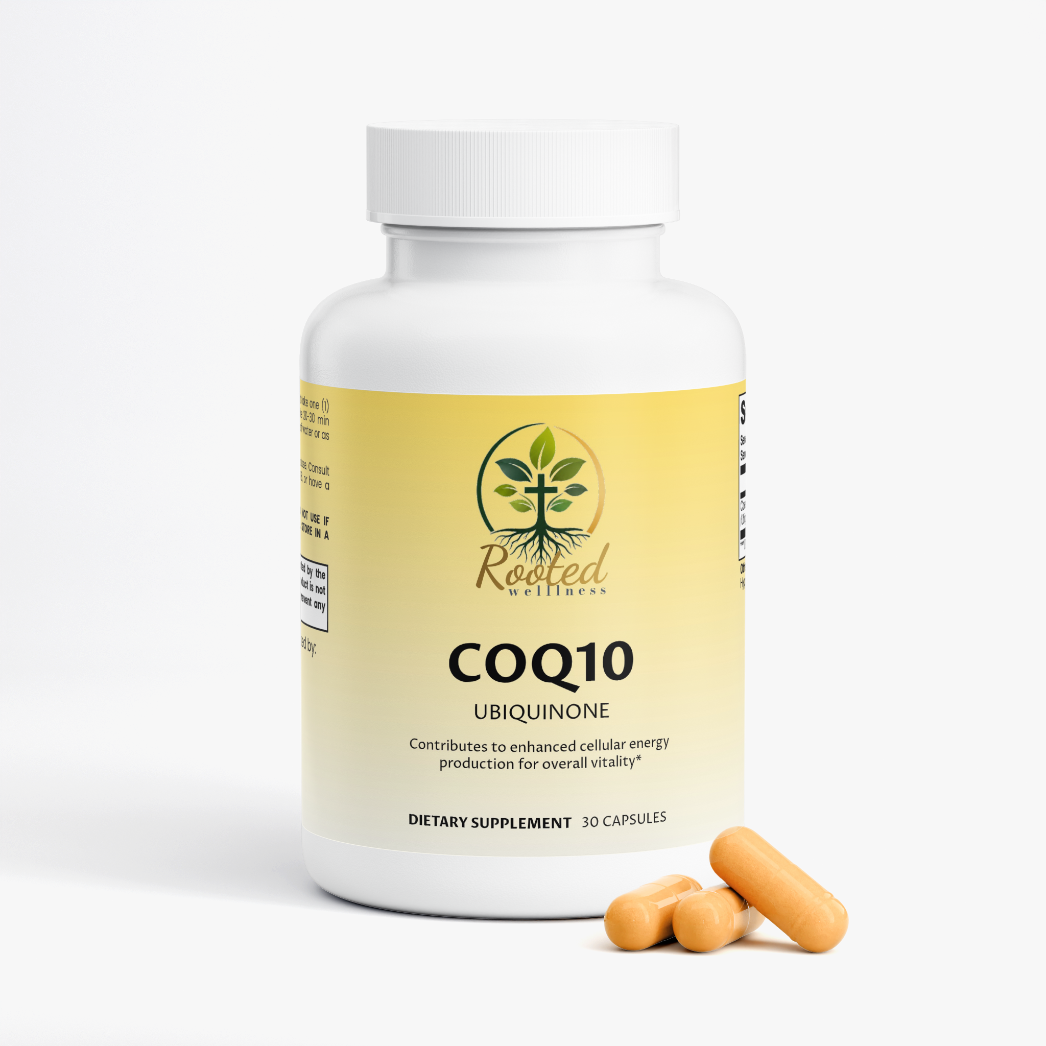 CoQ10 Ubiquinone