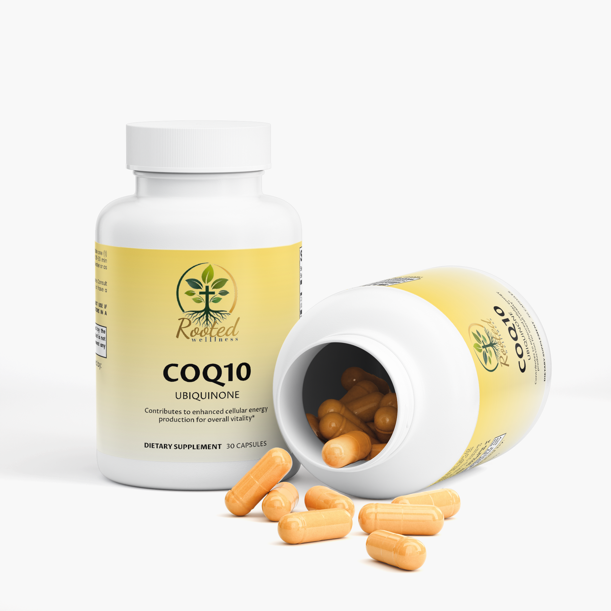 CoQ10 Ubiquinone