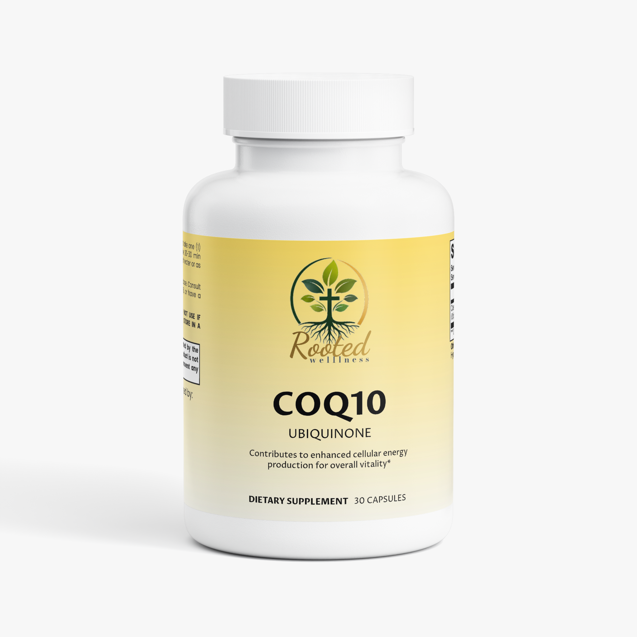 CoQ10 Ubiquinone