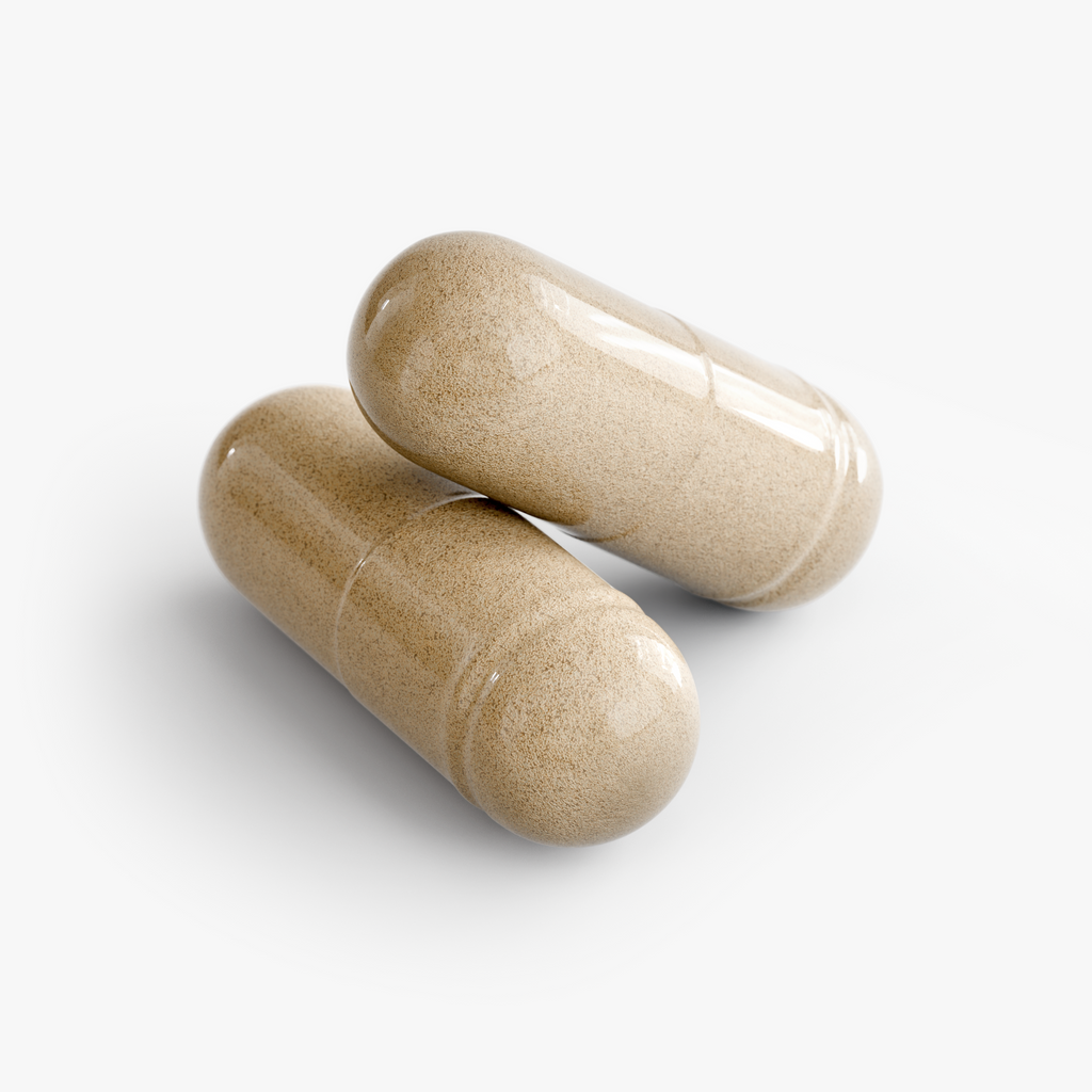 Rooted Rest - 2mg Melatonin Plus Herbal Sleep Formula