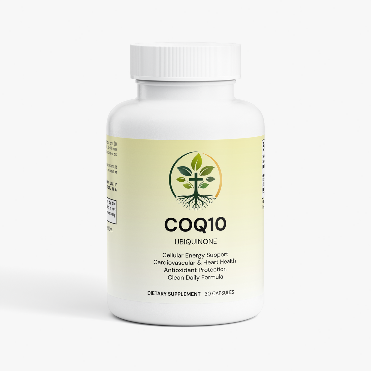 CoQ10 Ubiquinone