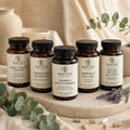 Rooted Midlife Bundle for Women
